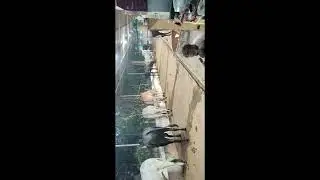 ப்ரதோஷம்ஸ்ரீருத்ர பாராயணம் 02/12/2025