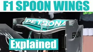 F1 Spoon Wings Explained