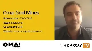 The Assay TV: Mario Stifano, CEO, Omai Gold Mines (TSXV:OMG)
