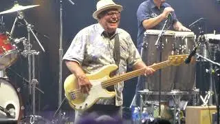 Los Lobos - Mas y mas -OC FAIR