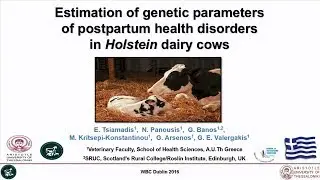 Estimation of genetic parameters of postpartum health disorders in Holstein cows