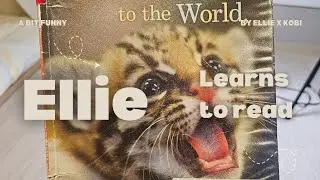 Welcome to the World, ZooBorns! / Bleiman Andrew
