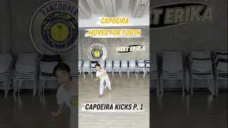 BASIC CAPOEIRA KICKS