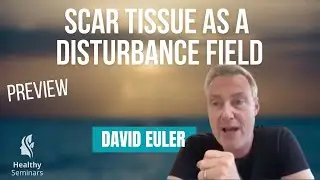 Scar Tissue as a Disturbance Field - David Euler (preview)