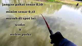 👏👏👏👏 Lengkunganya itu lo,marai TUMAN ‼️NUTUL MELEM #nutulnilem  #caramancingnutul