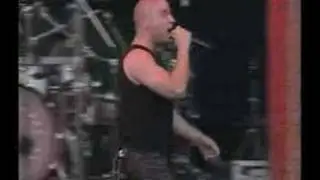 Festimad 2003 - Distubed