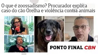 O que é zoossadismo? Procurador explica à CBN o caso do cão Orelha e violência contra animais