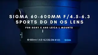 SIGMA 60-600mm F4.5-6.3 DG DN OS | Sports