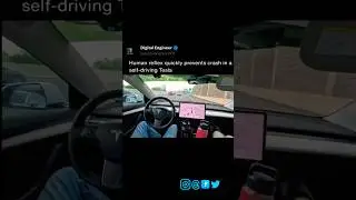 Heart-Pounding Moment: Human Reflex Saves the Day in a Self-Driving 🚗 #shorts #ytshorts #short #ai