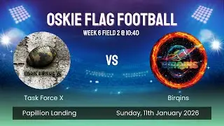 Birqins v Task Force X