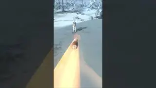 SNIPER RIFLE DEADLY ATTACK SNOW WOLF HUNTING