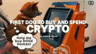 Toshi The Crypto Dog - Making History Again