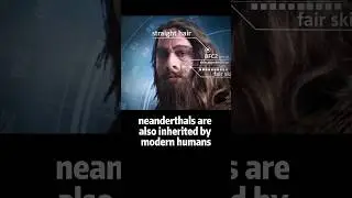🔺 Modern human genetic makeup is ~3% Neanderthal which made a great impact on us #history #ancient