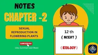 Chapter 2: Sexual Reproduction in Flowering Plants | Class 12 Biology Notes | NCERT | Mind Elevate