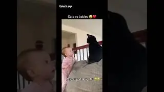 &ldquo;This Baby & Cat Duo Are Causing the Cutest Chaos Ever 😹🍼&rdquo; #cutepets #cat #funny #pets #cute
