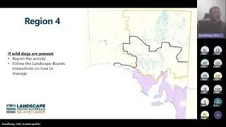 Wild Dog Policy update