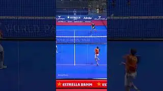 WHAT A POINT 🤯🤯  | Padel Highlights #bestofpadel