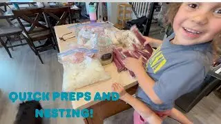 PREPARING FOR BABY NUMBER 5!