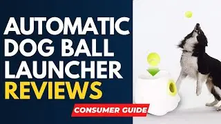 ✅ Best Automatic Dog Ball Launcher Reviews [ Real Buyers Reviews ]