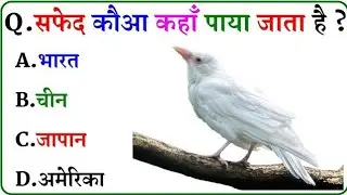 Gk Questions || Gk In Hindi || General Knowledge || Gk Quiz || Gk ke sawal