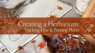How to Make a Herbarium for Natural Dye & Botanical Printing Plants