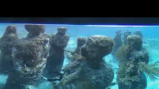 Buceo en el MUSA Isla Mujeres 360.