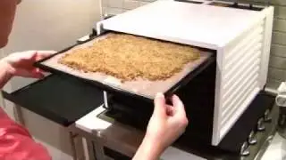 Garlic Rice