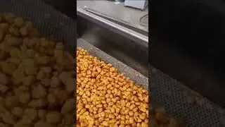 We present our corn frying line OS-850 #Shorts