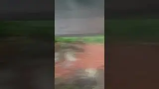 rainstorm #2020 #rain #thunder #winds #fastrain #rainyday