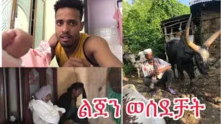 ሙያ የለሽም አለኝ ብቻውን ቀረ?