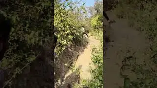 #viral video#viral reels#social media#mountain cinematic travel#🏔️🏔️✨🌟💞💞&hearts;️&hearts;️💕💕💫🌹🌹👌👌👍💯