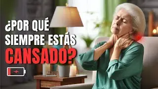 Cansancio Diario: Causas Y Soluciones Para Recuperar Energ&iacute;a