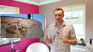 Wie kann man Farbt&ouml;ne auf Knopfdruck  herausfinden ? Mit dem Color Reader Pro von Caparol