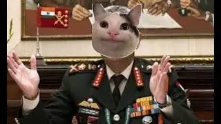 when beluga join indian army and beluga start world war 3 #beluga #belugadiscord beluga in india