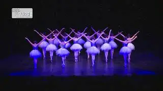Raising the Barre