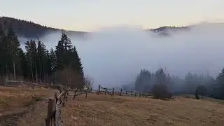 They Made ONE Small Mistake  Nature Did the Rest   Missing 411