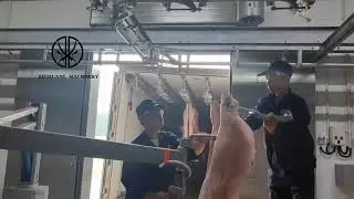 +8618652967546Meat Loading Arm For Cattle/ Sheep/ Pig Carcass Pork Beef Mutton Slaughtering Abattoir