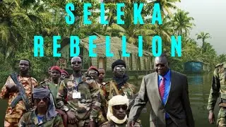 What do know about Seleka rebellion in Central African republic.
