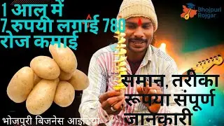 1 आलू में 7 रुपया लगाई 780 रोज कमाई/ भोजपुरी बिजनेस आइडिया/ new business idia bhojpuri video 