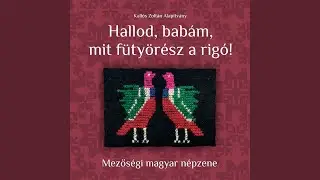 Füzesi ritka magyar / Ázom, ázom, azt gondoltam, hogy esik / Jaj de bajos, ki egymást nem...