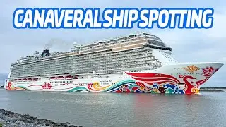 Port Canaveral Ship Spotting!  6 Cruise Ships in One Day