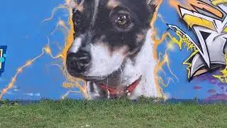 Incredible graffiti in Birmingham