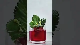 Rum Runner - Event Bar & Cocktail Service #shorts