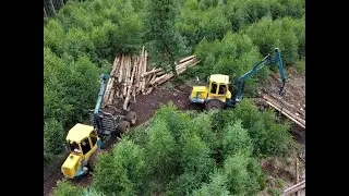 🌲*SOUNDpur* &bull; 2x HSM 208F - 6WD &bull; Forstbetrieb Weuste &bull; Forwarder in Action &bull; Compilation &bull; Part-2🌲