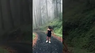 misty road ❤ girl #trending #viral #tiktok #shorts #misty #jungle #sexy #ass #love #travel