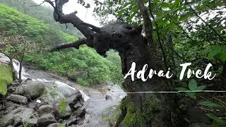 Aadrai Jungle Trek| Monsoon Weekend Getaway | Treks and Trails