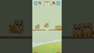 Cat Sort Puzzle 1 - Gameplay Walkthrough (iOS & Android) #shorts