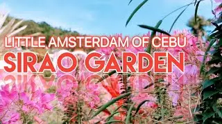 BEST PLACE TO VISIT IN CEBU 2022