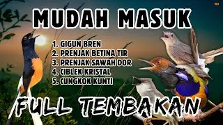 🔴 MASTERAN MURAI BATU GACOR