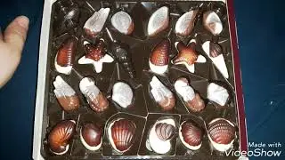 Belgian Chocolate Seashells Review